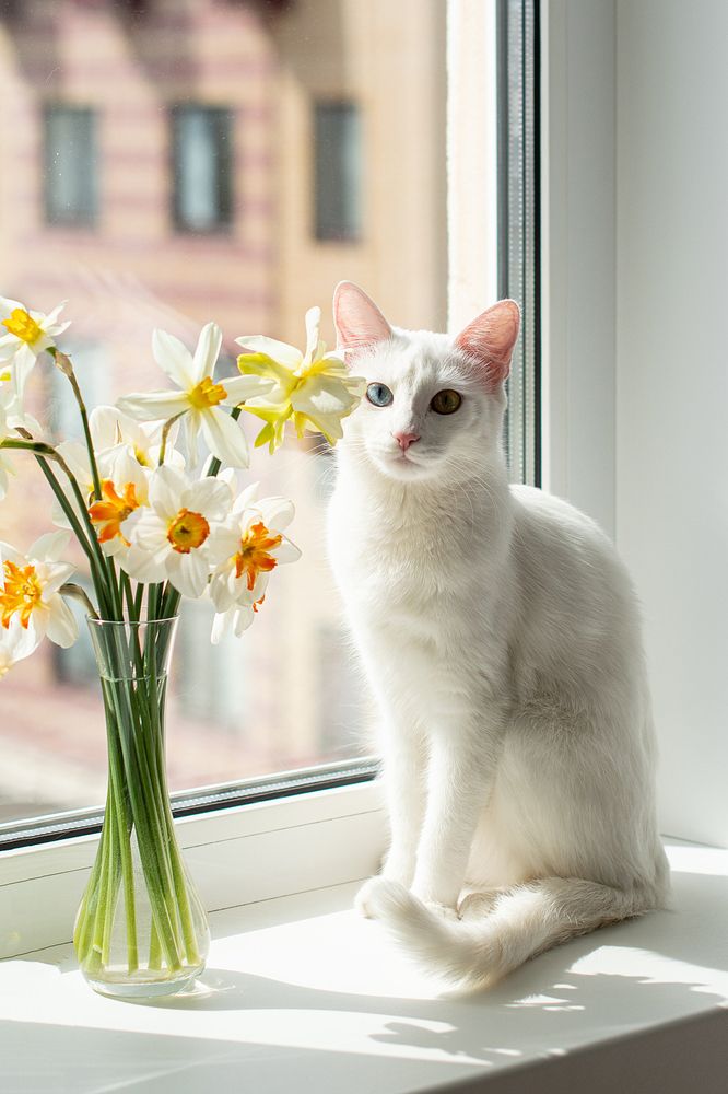 Фотография автора Светлана Дроголюбова