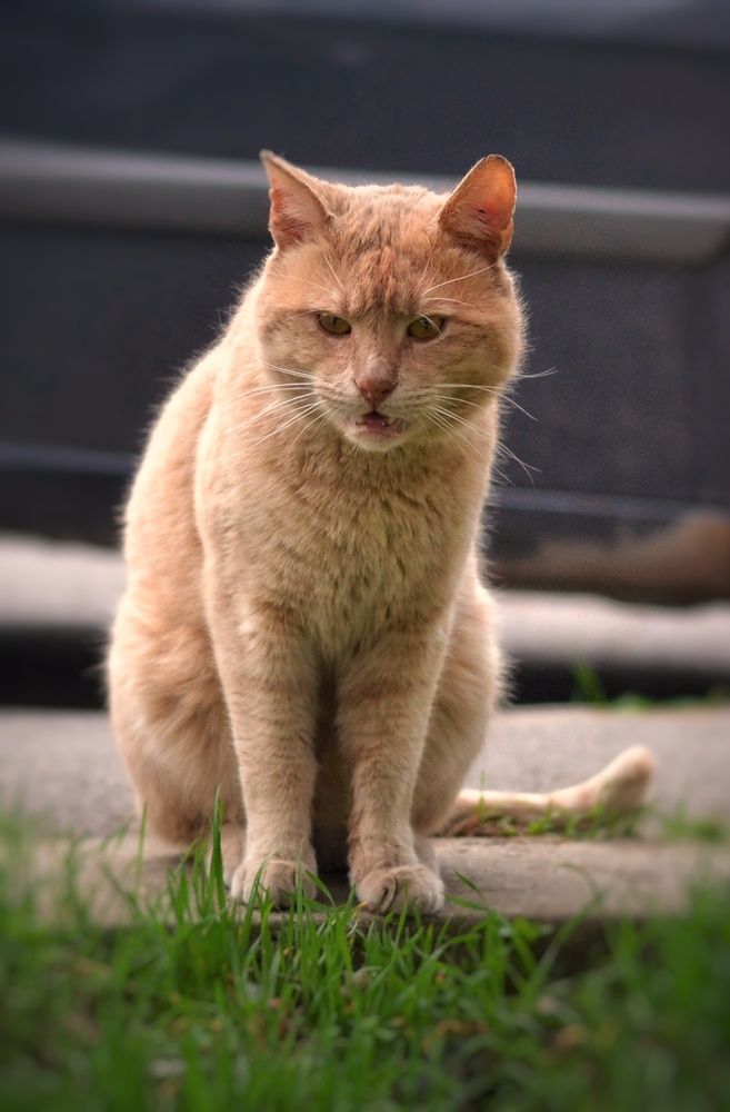 Фотография автора Юлияна Стоянова