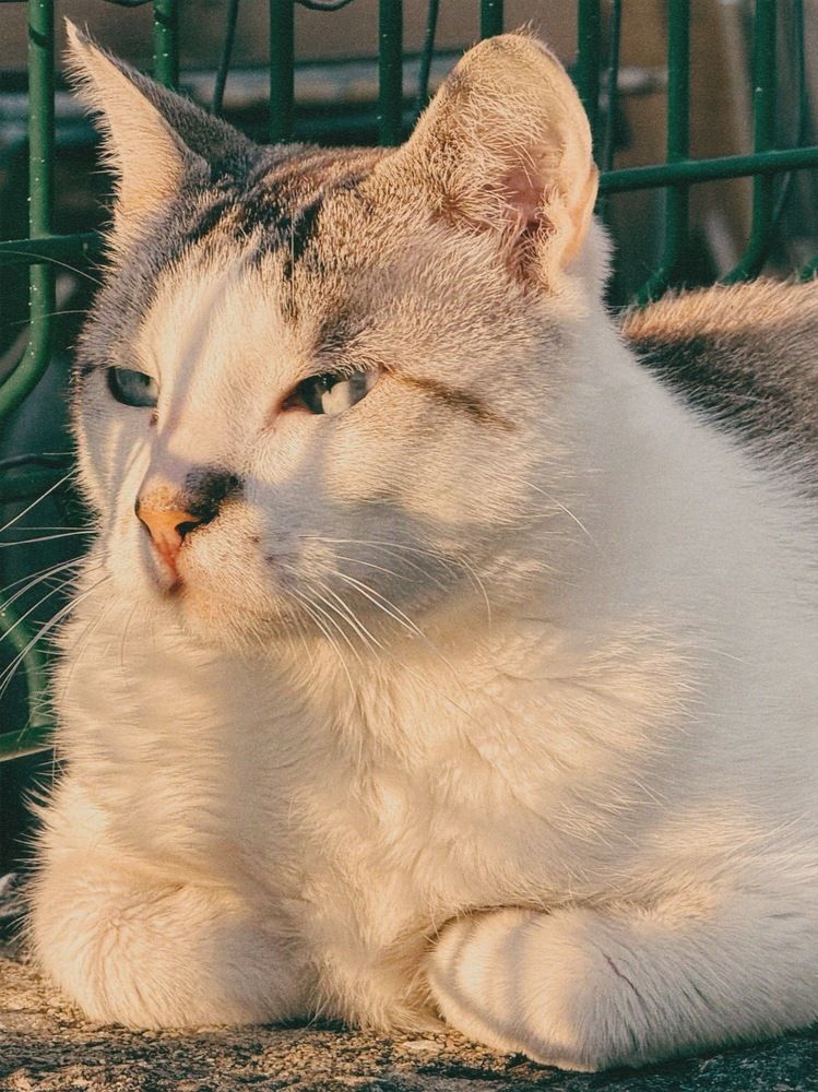 Photograph by Halyna Khomyk