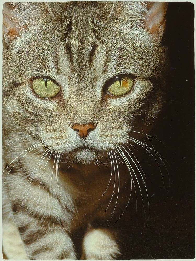 Photograph by Halyna Khomyk