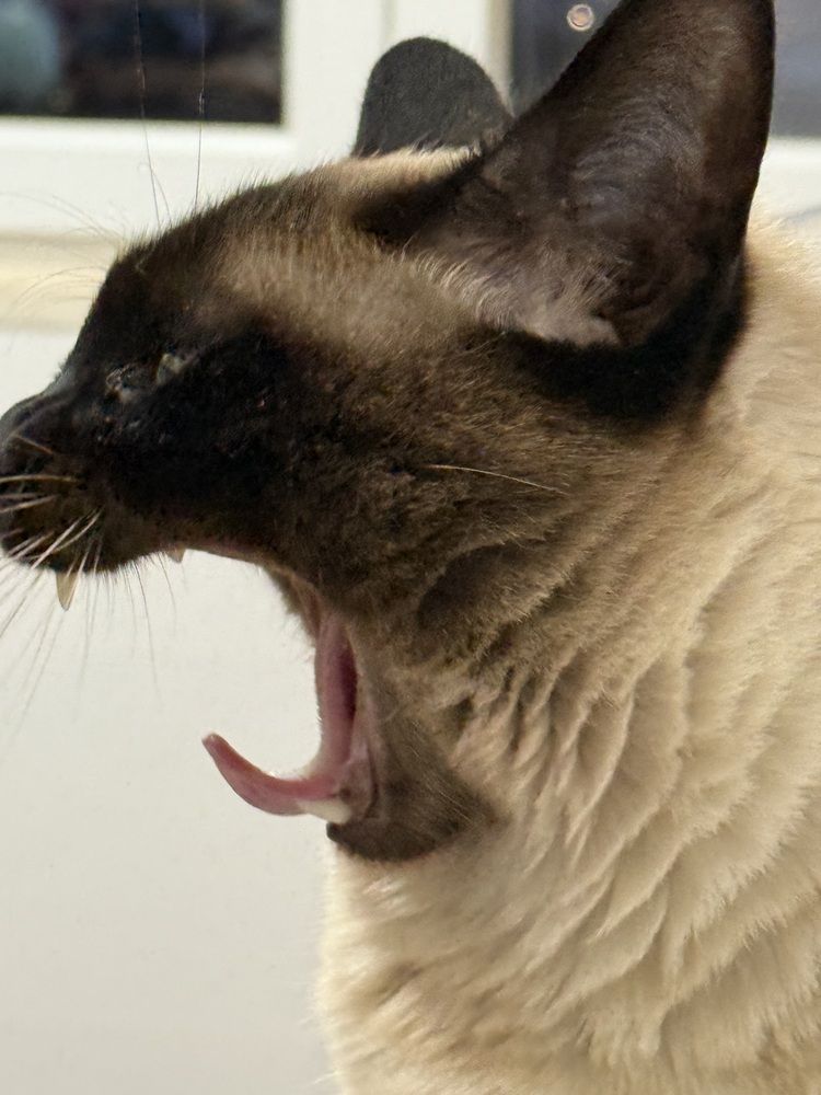 Photograph by Halyna Khomyk