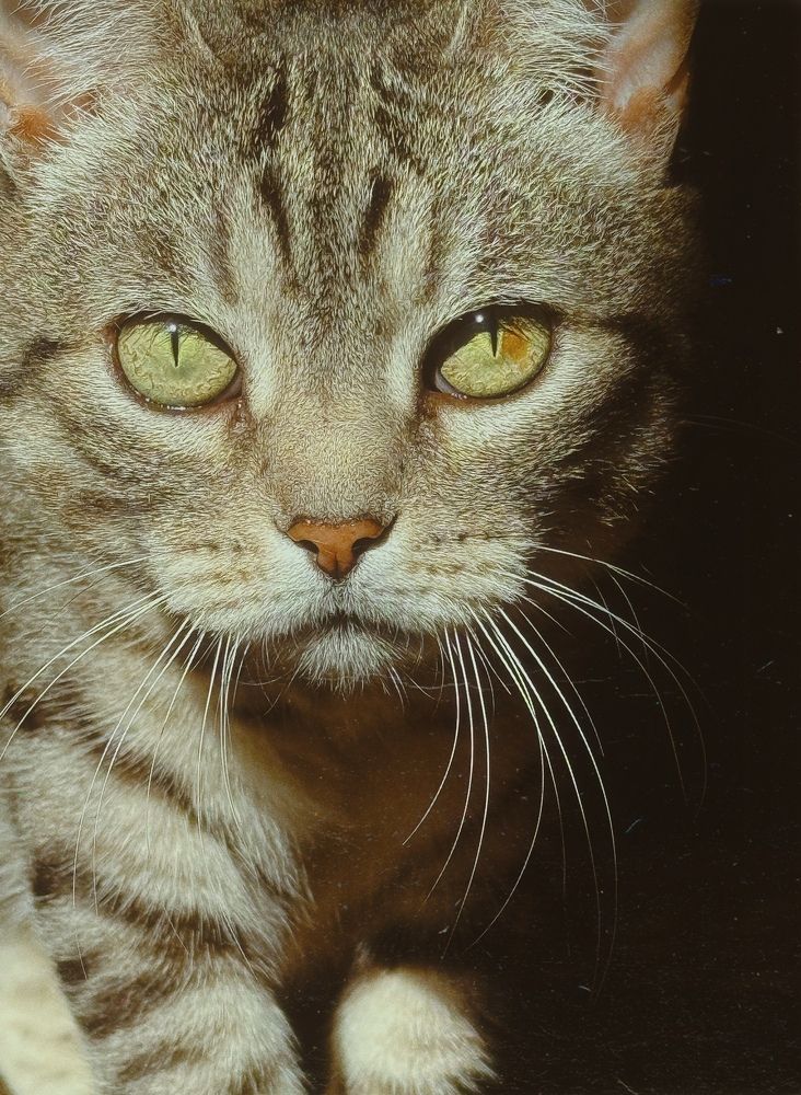 Photograph by Halyna Khomyk