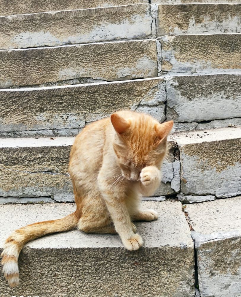 Photograph by Людмила Кухарева