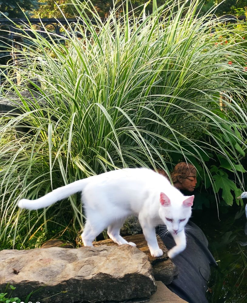 Photograph by Людмила Кухарева