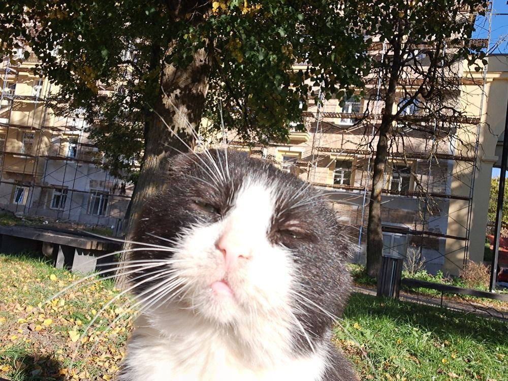 Photograph by Ирина Савельева