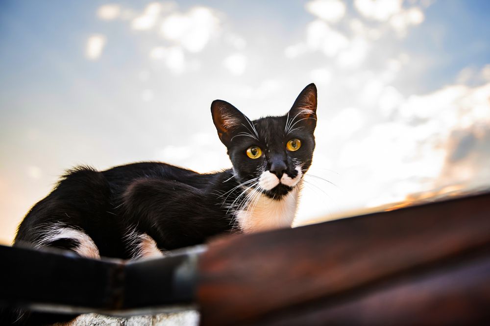 Photograph by Silvana Córdoba