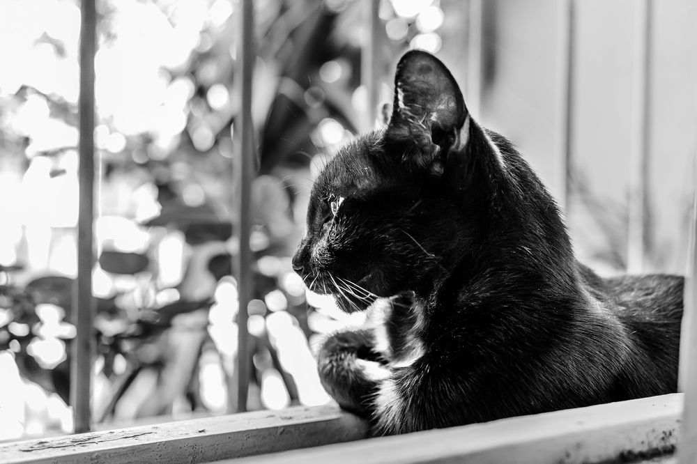 Photograph by Silvana Córdoba