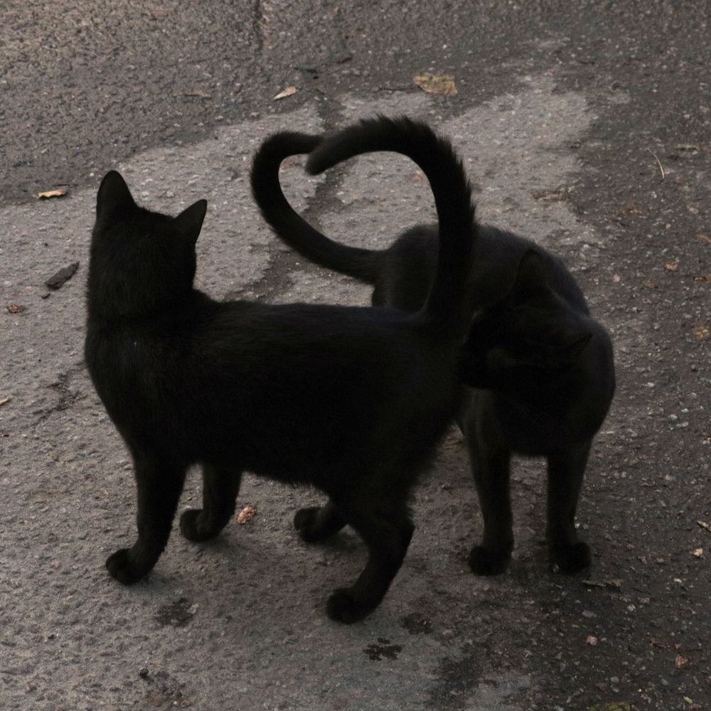 Photograph by Мария