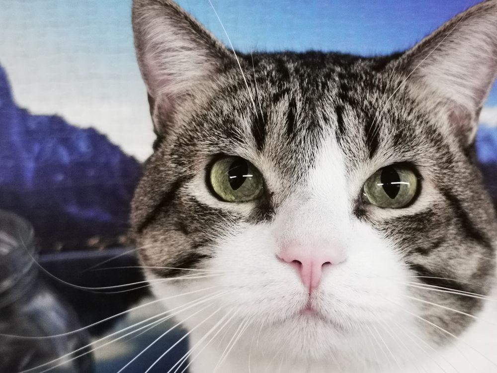 Photograph by Lander Veiga