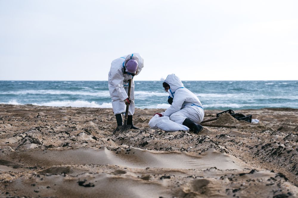 Photograph by Александр