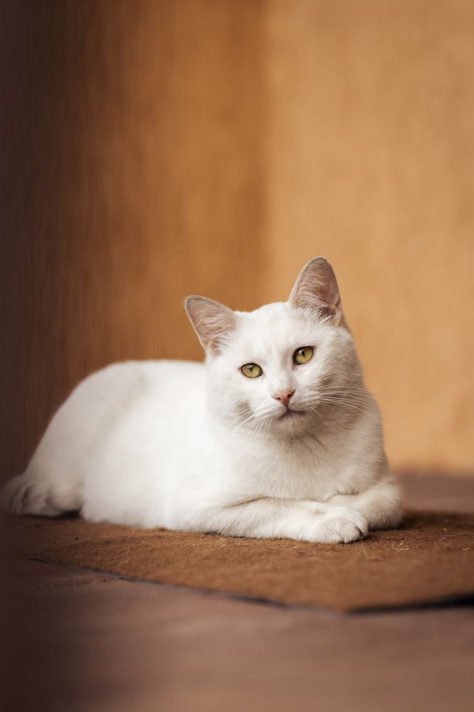 Фотография автора Татьяна Радусь