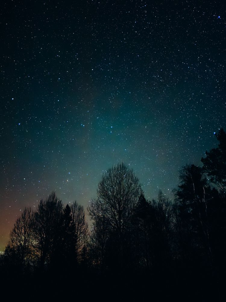 Photograph by Алиса Нежинская
