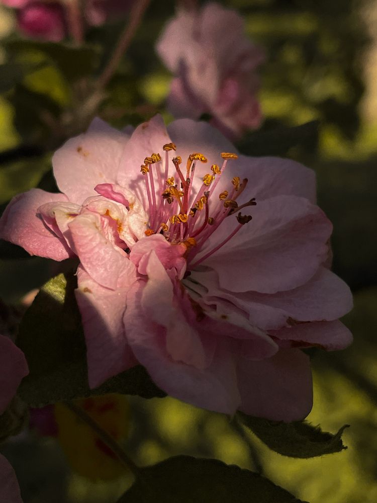 Photograph by Юлия Максимова