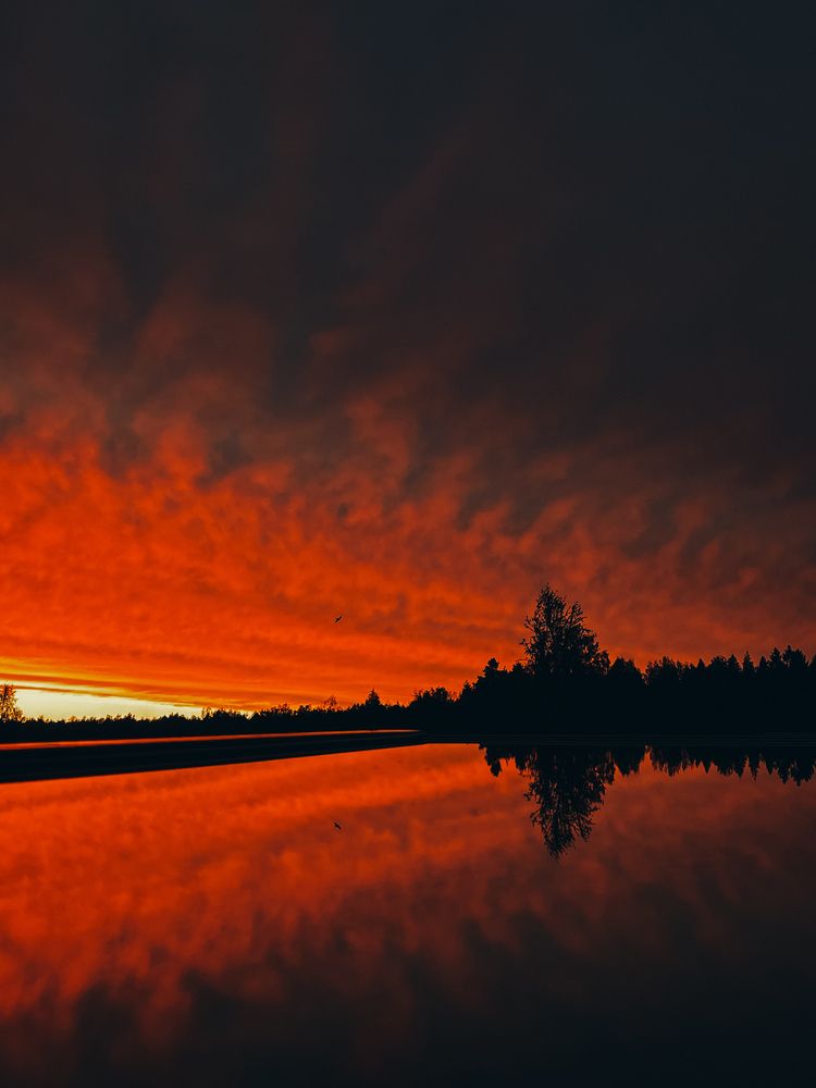Фотография автора Елена Михалева