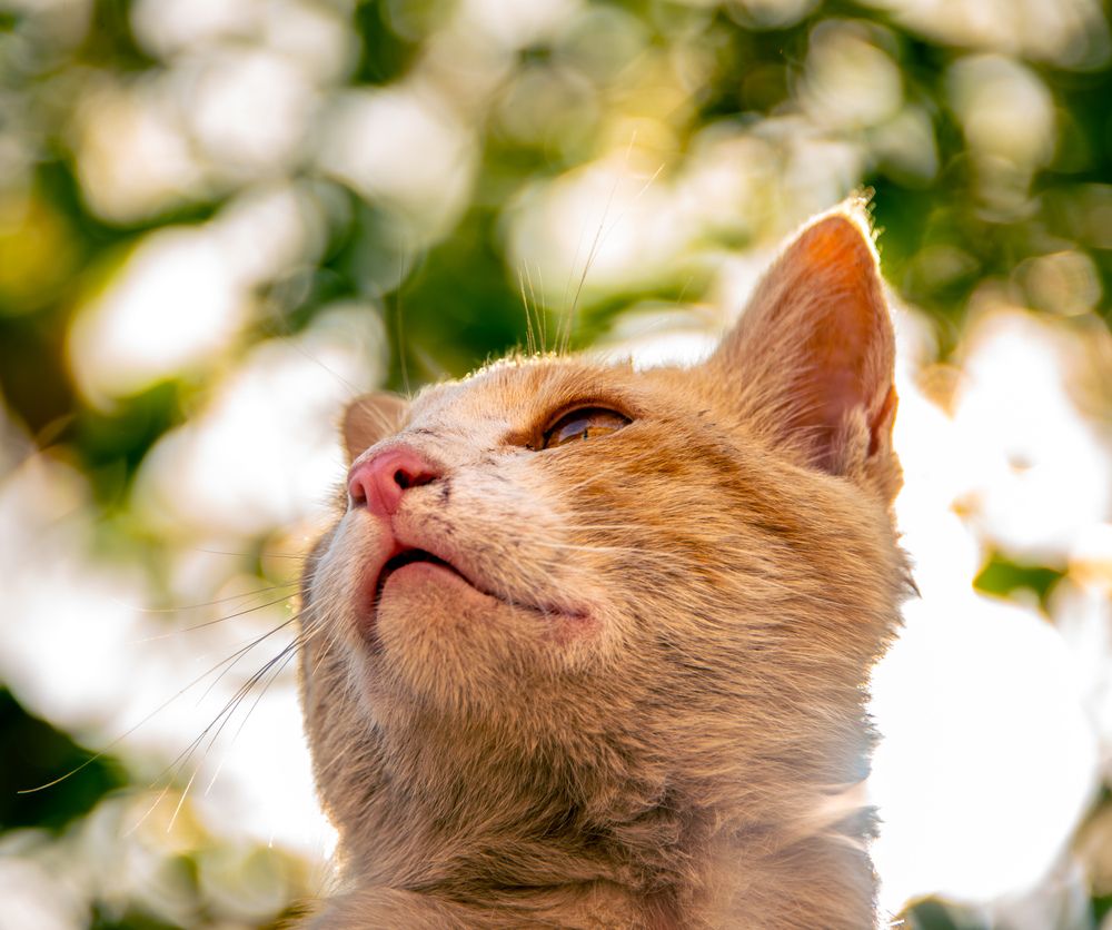 Photograph by Mansoob Haider