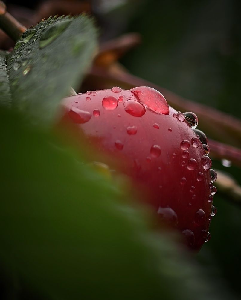Photograph by Михаил Саидов