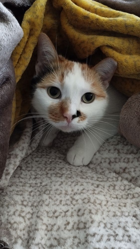 Photograph by Ия Дирко