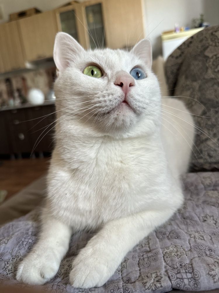 Photograph by Ирина Маркина