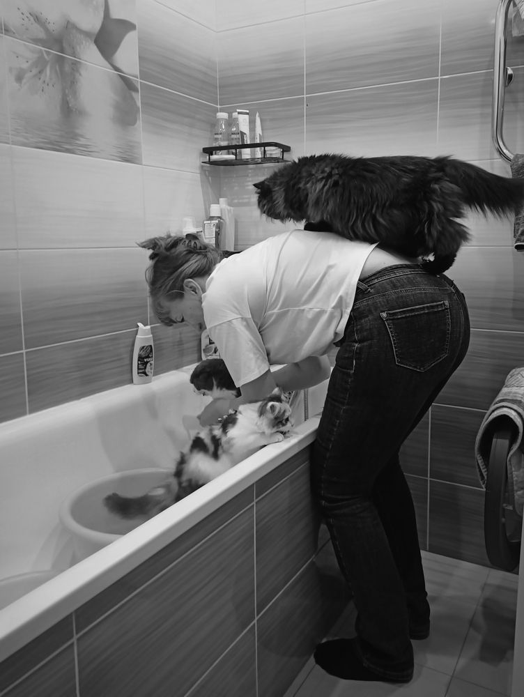 Photograph by Татьяна Братусь