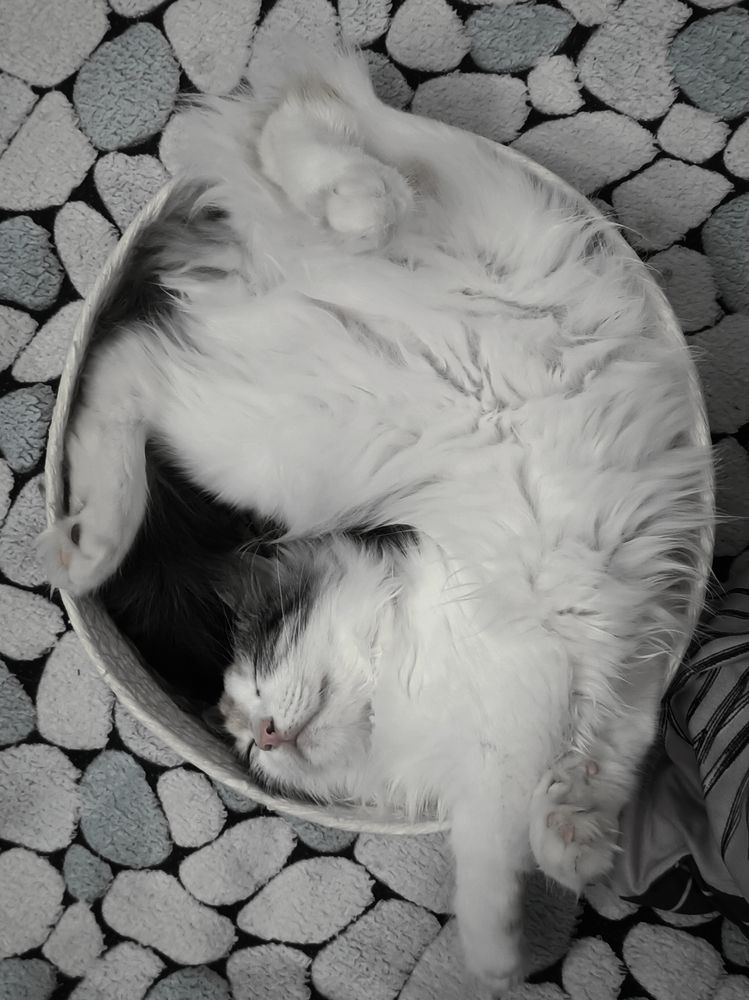 Photograph by Татьяна Братусь