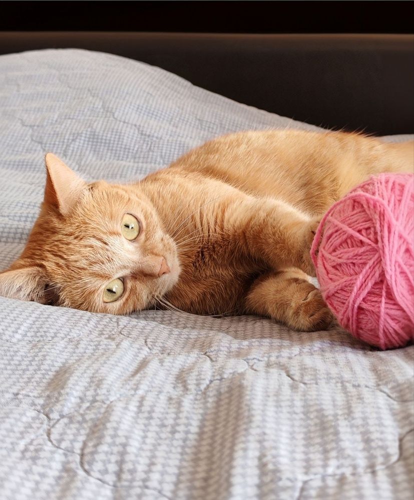 Photograph by Альбина