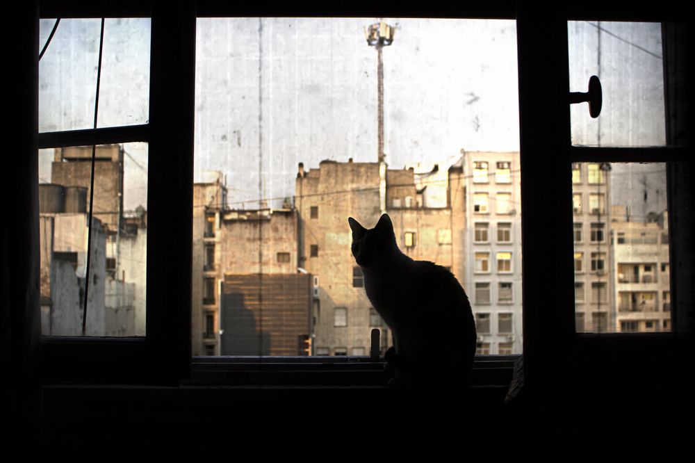 Photograph by Luis Lobos Robles