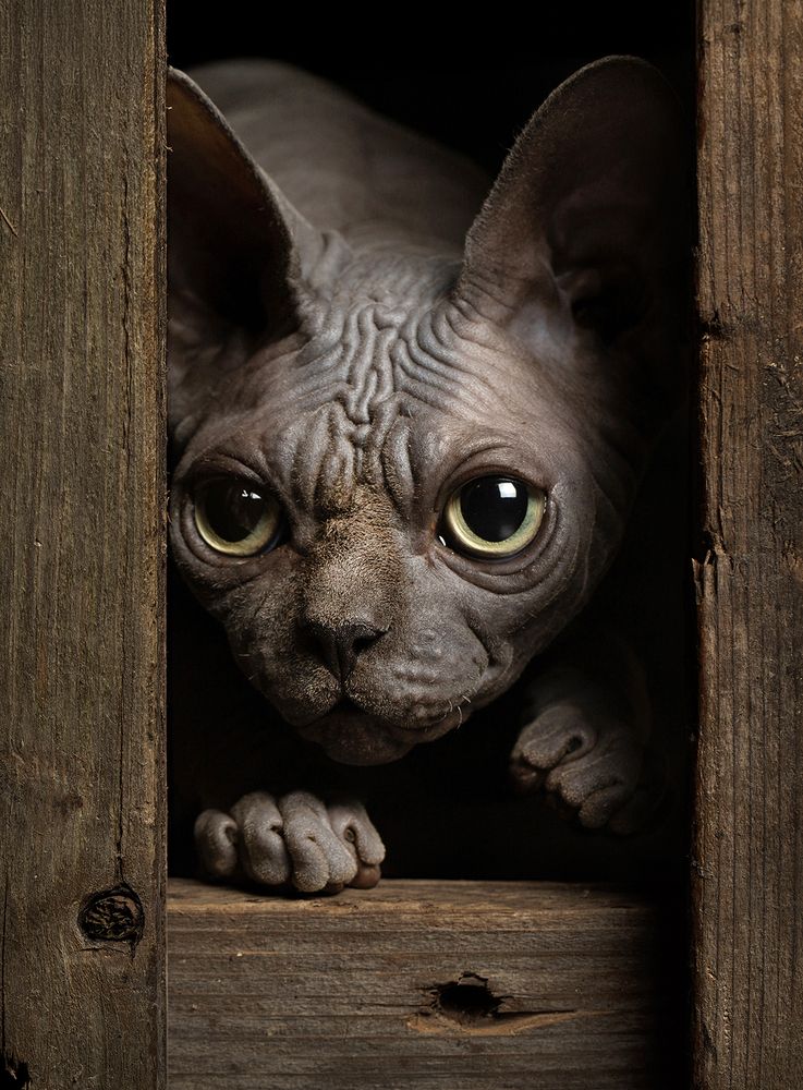 Photograph by Alexander Sviridov