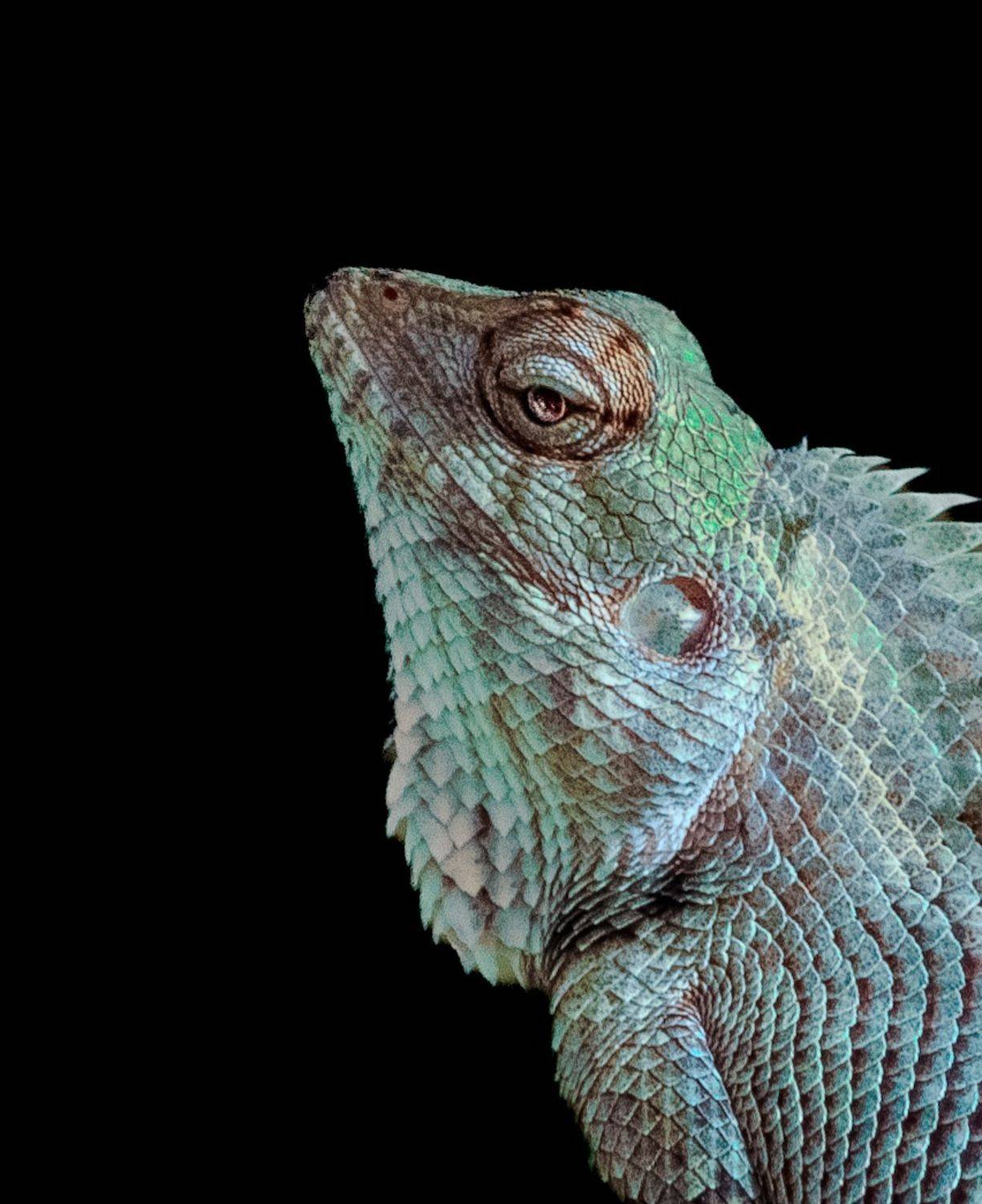 Фотография #12238983