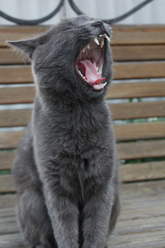 Photograph by Любовь Лунина