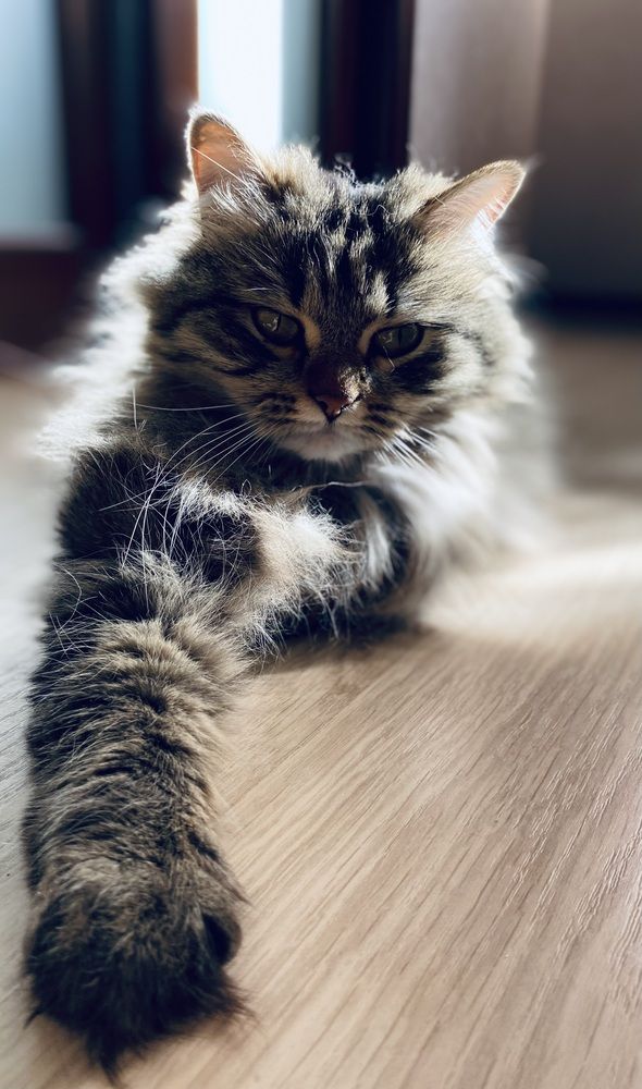 Photograph by Елена Рябова