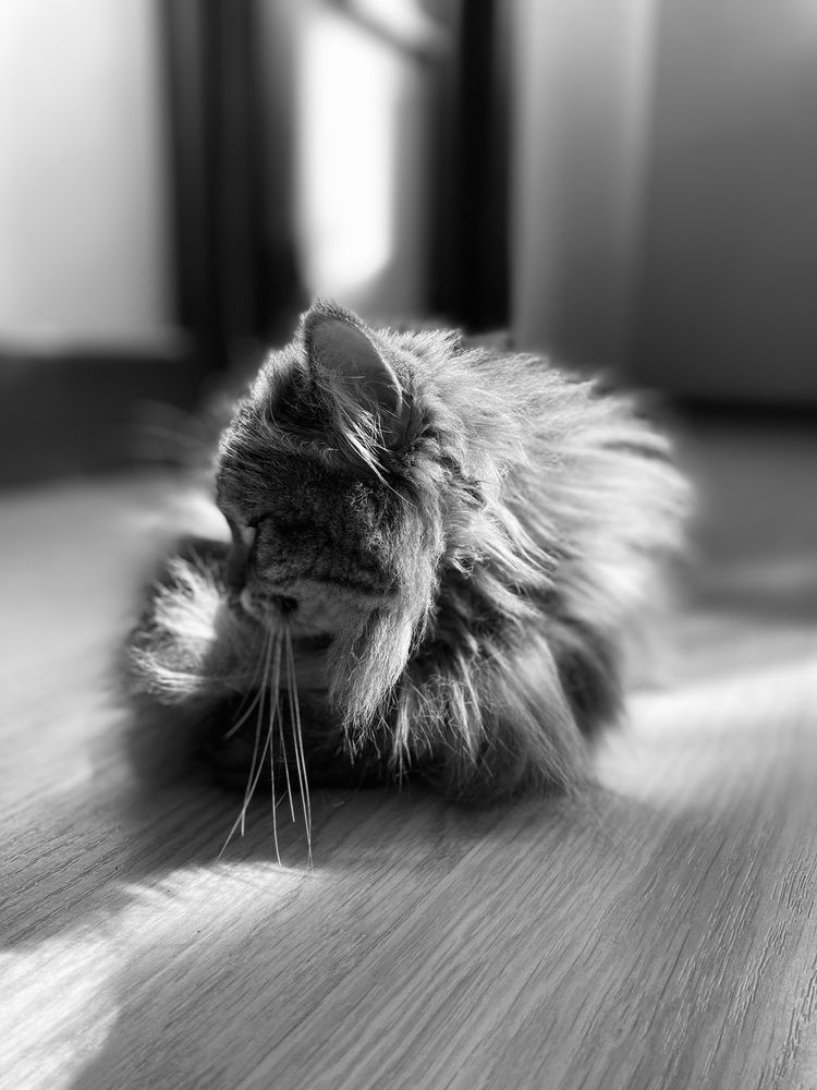 Photograph by Елена Рябова