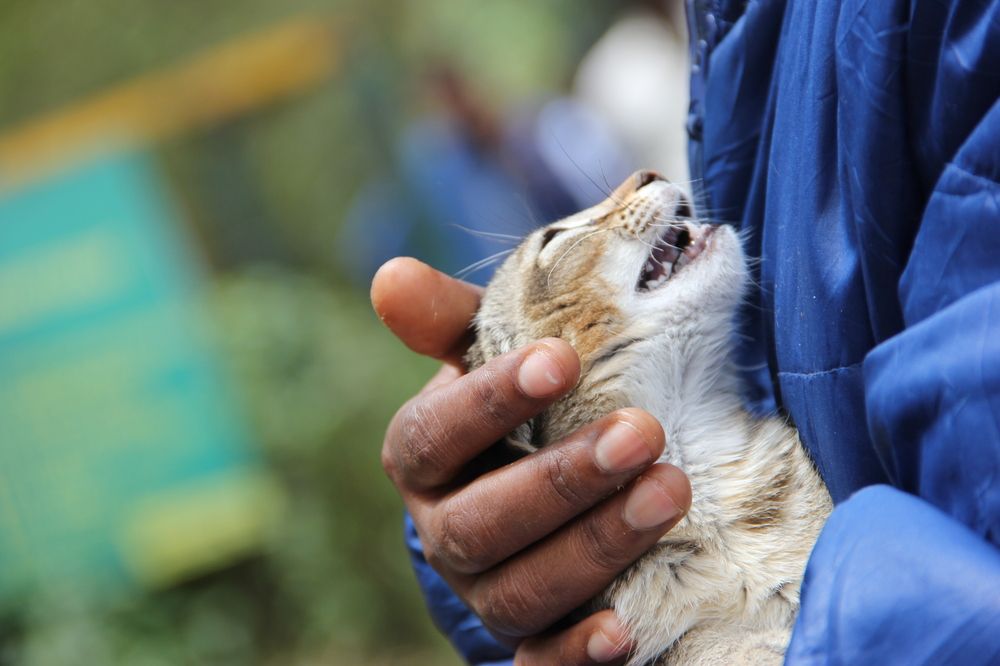 Photograph by Sivamoorthy Velmurugan