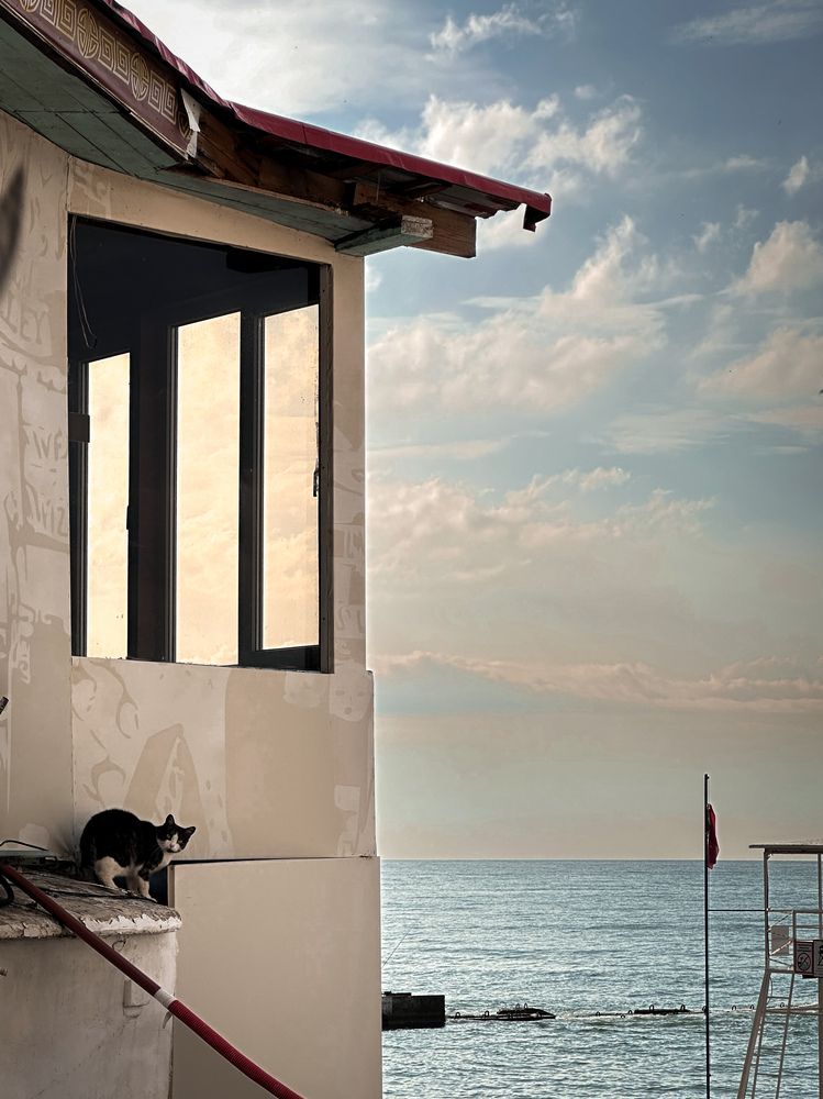 Photograph by Екатерина Анпилова