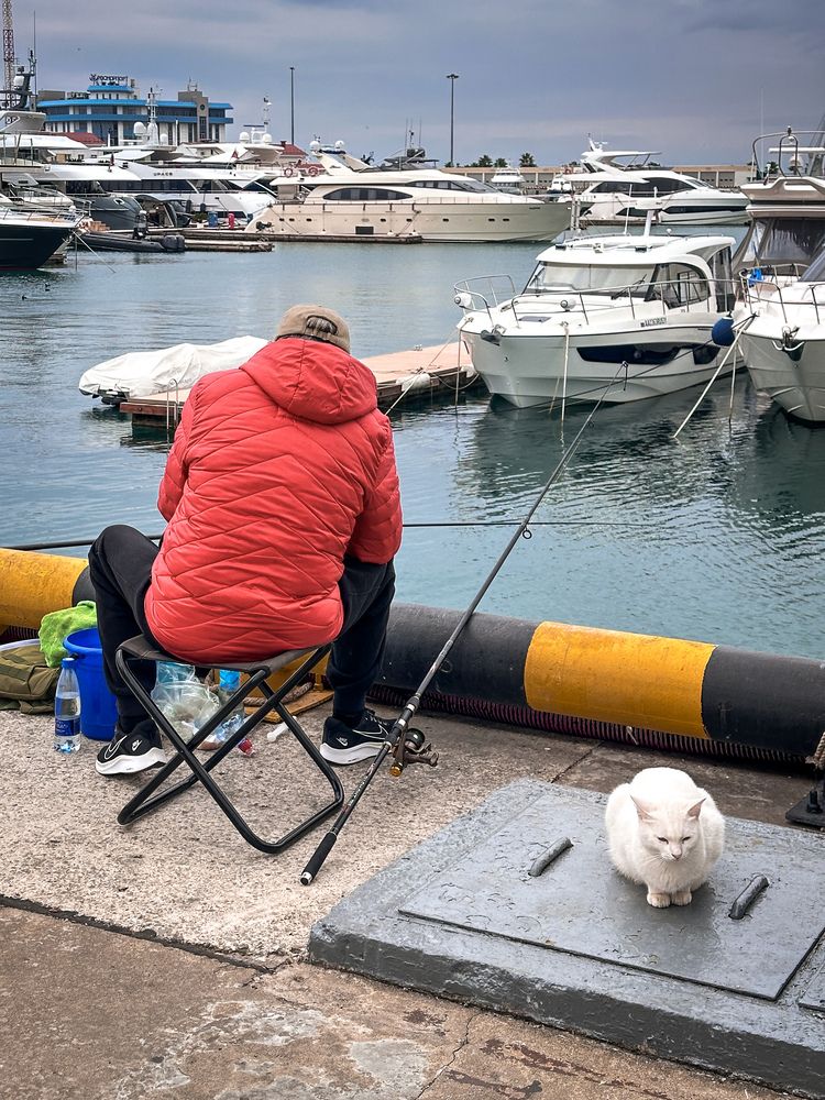 Photograph by Екатерина Анпилова