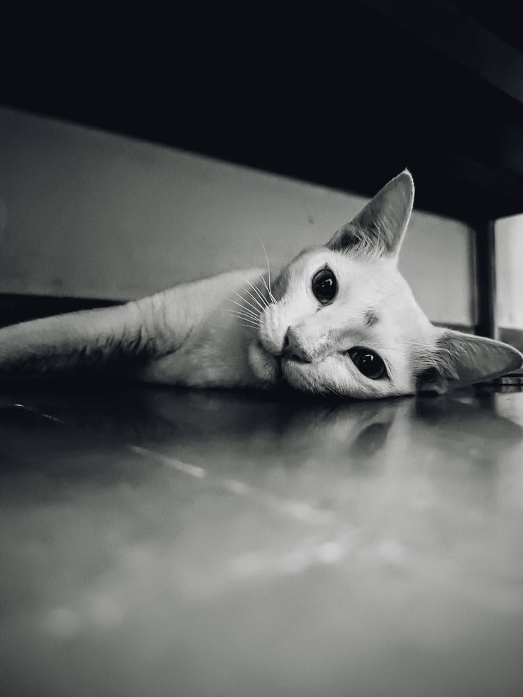 Photograph by Lakshmi Priya