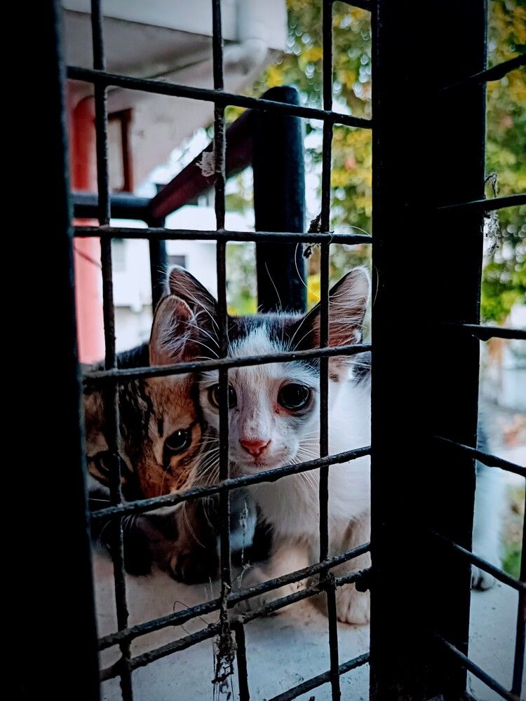 Photograph by Lakshmi Priya