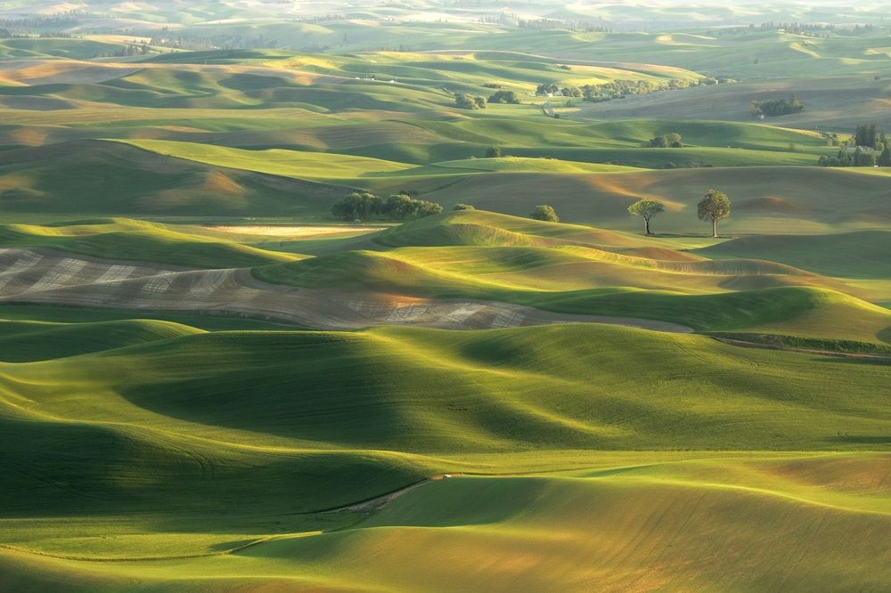 Rolling hills