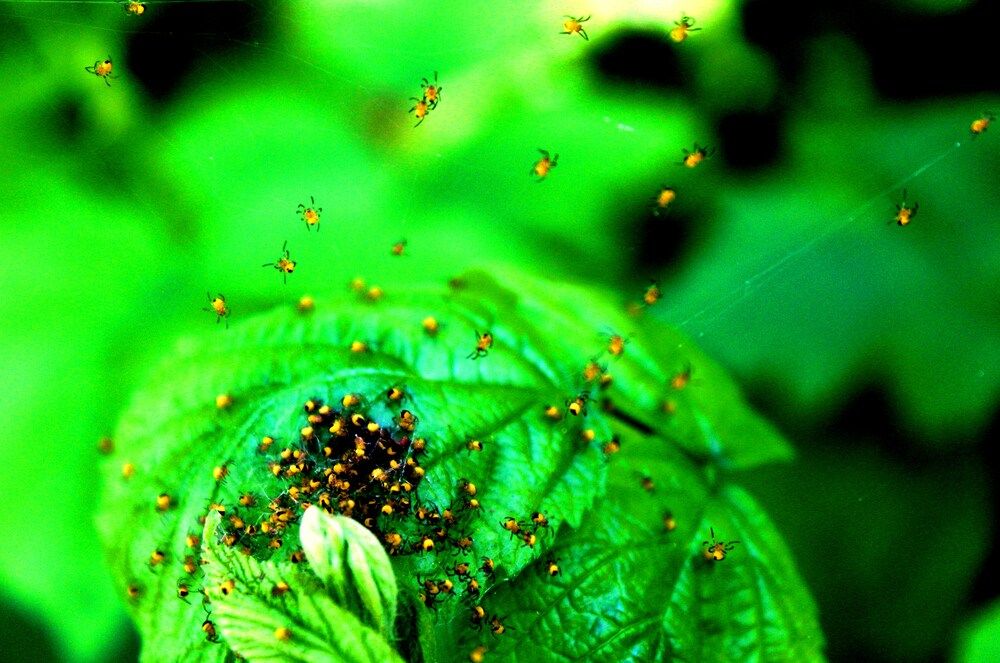 Photograph by 