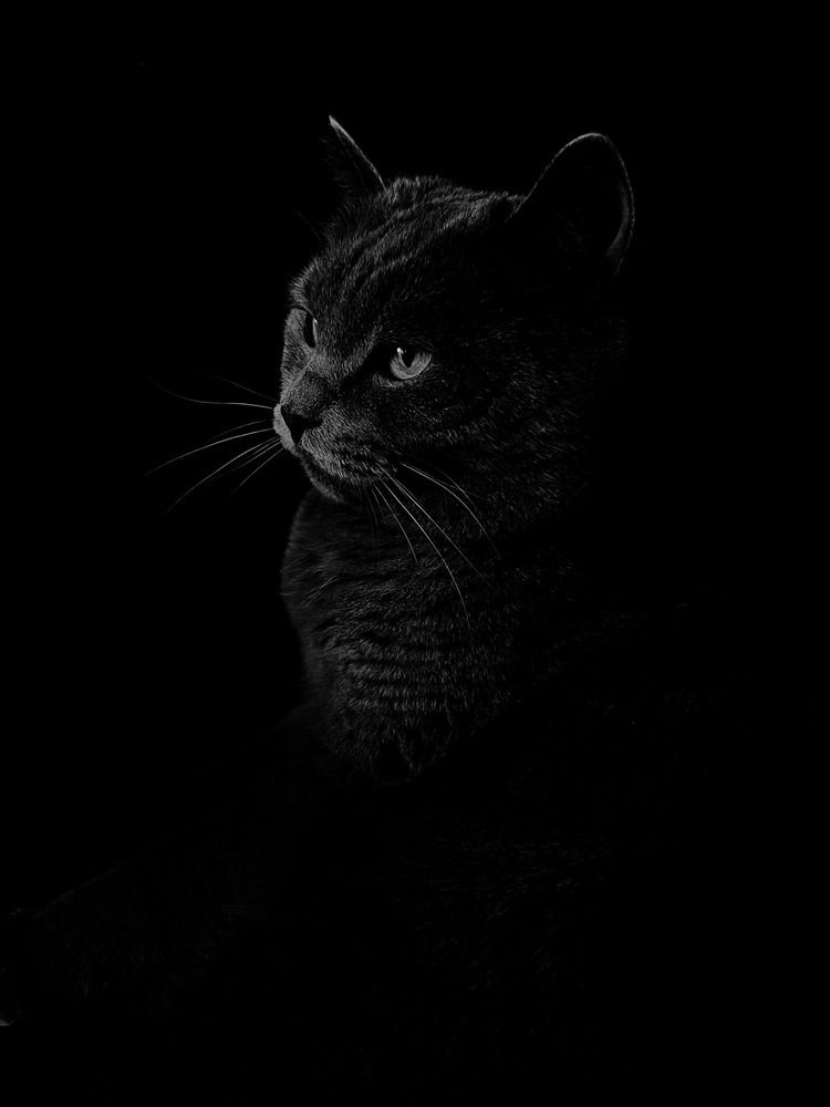 Photograph by Эльвира Мерзлякова