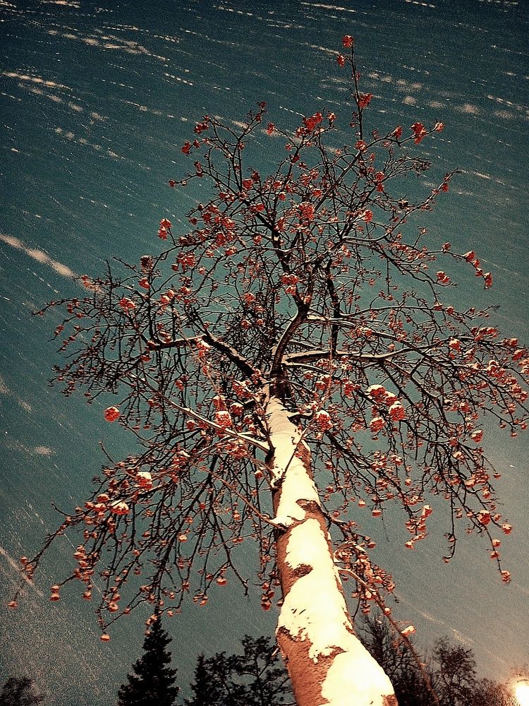 Photograph by Марина Ткаченко