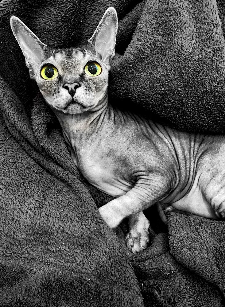 Фотография автора Ольга Лазаренко