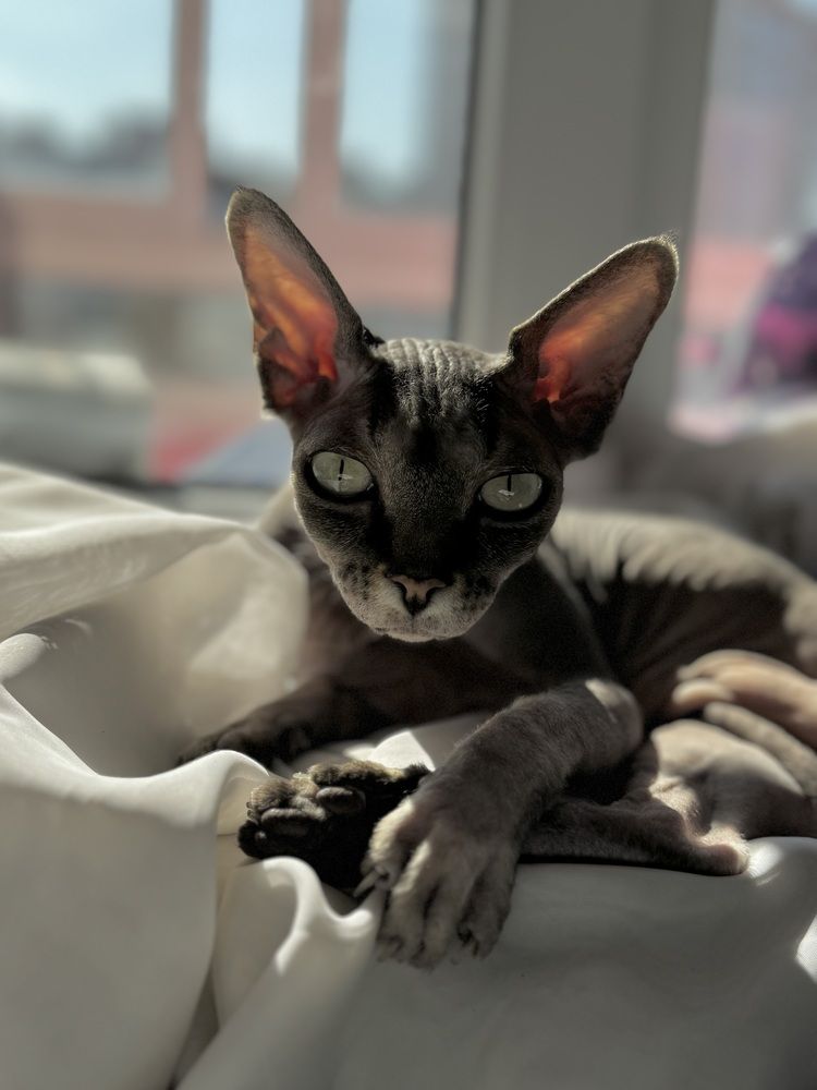 Фотография автора Ольга Лазаренко