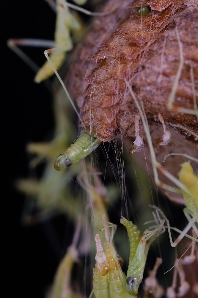 Фотография автора Васильев Роман