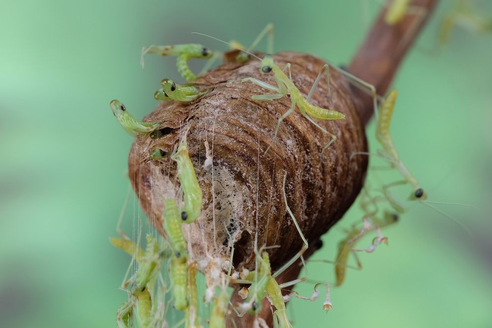Фотография автора Васильев Роман