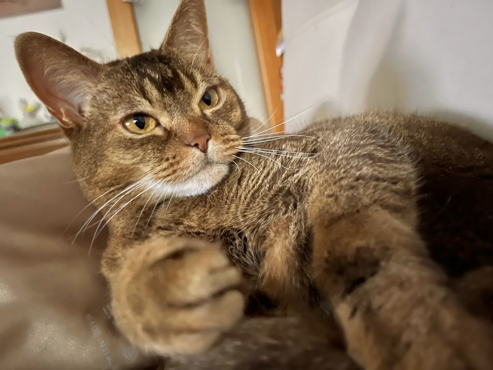 Photograph by Elena Edeleva