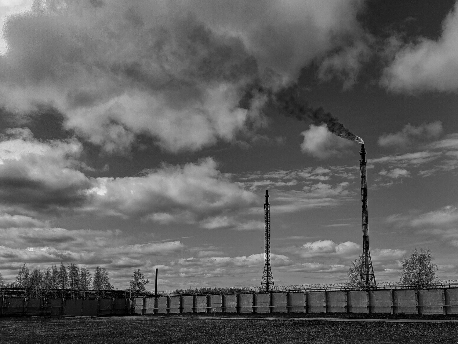 Photo #12239263