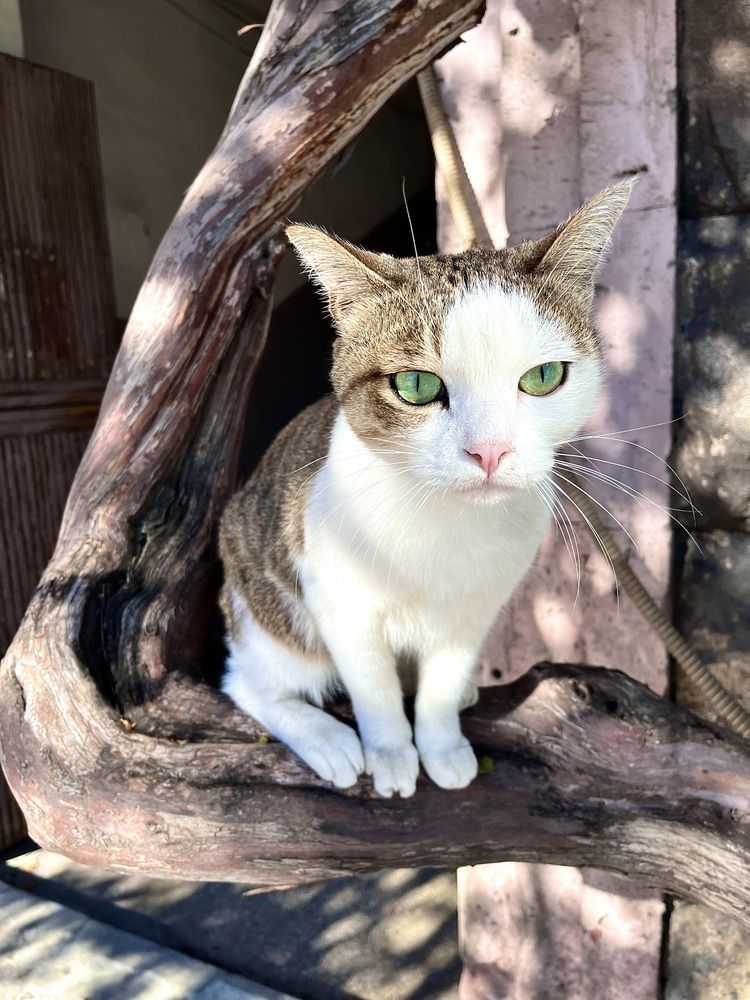 Photograph by Elena Edeleva