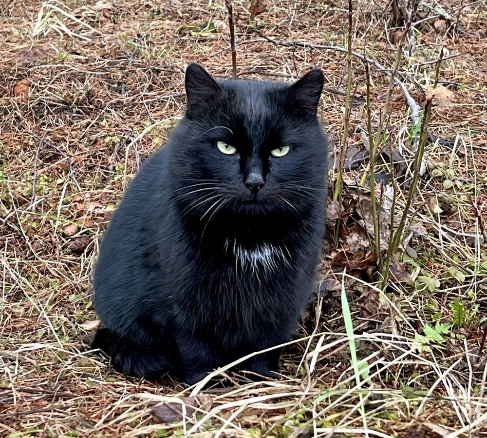 Photograph by Elena Edeleva