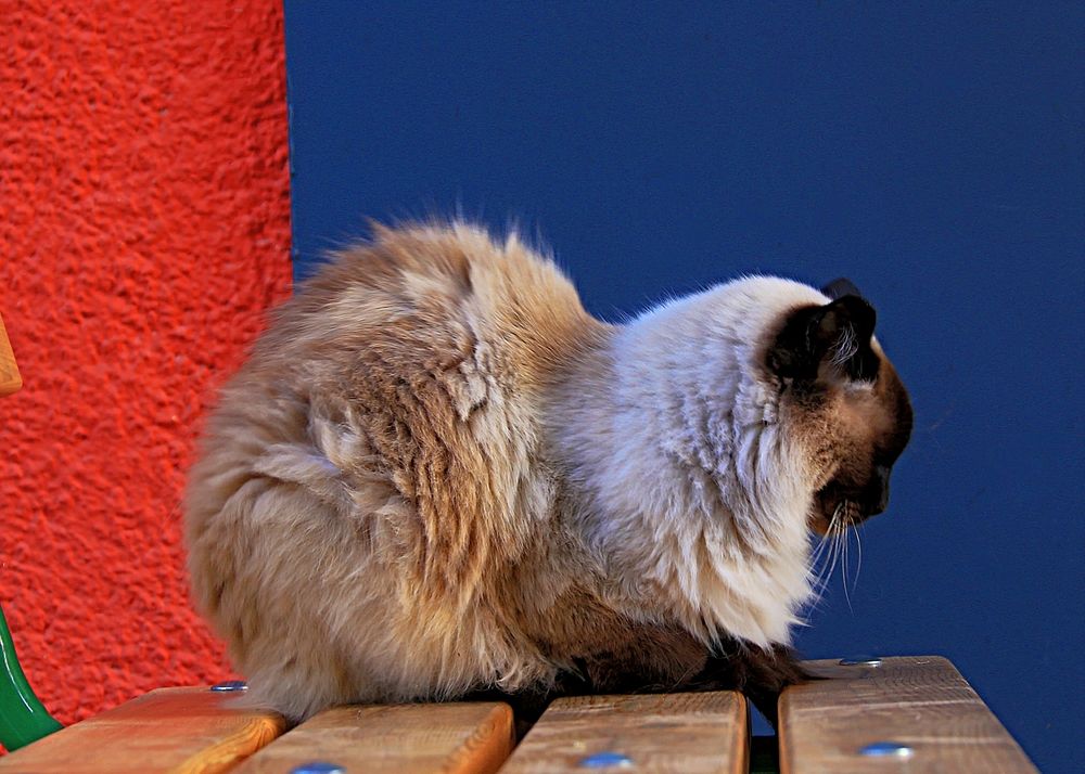 Photograph by Эдуард Петруша