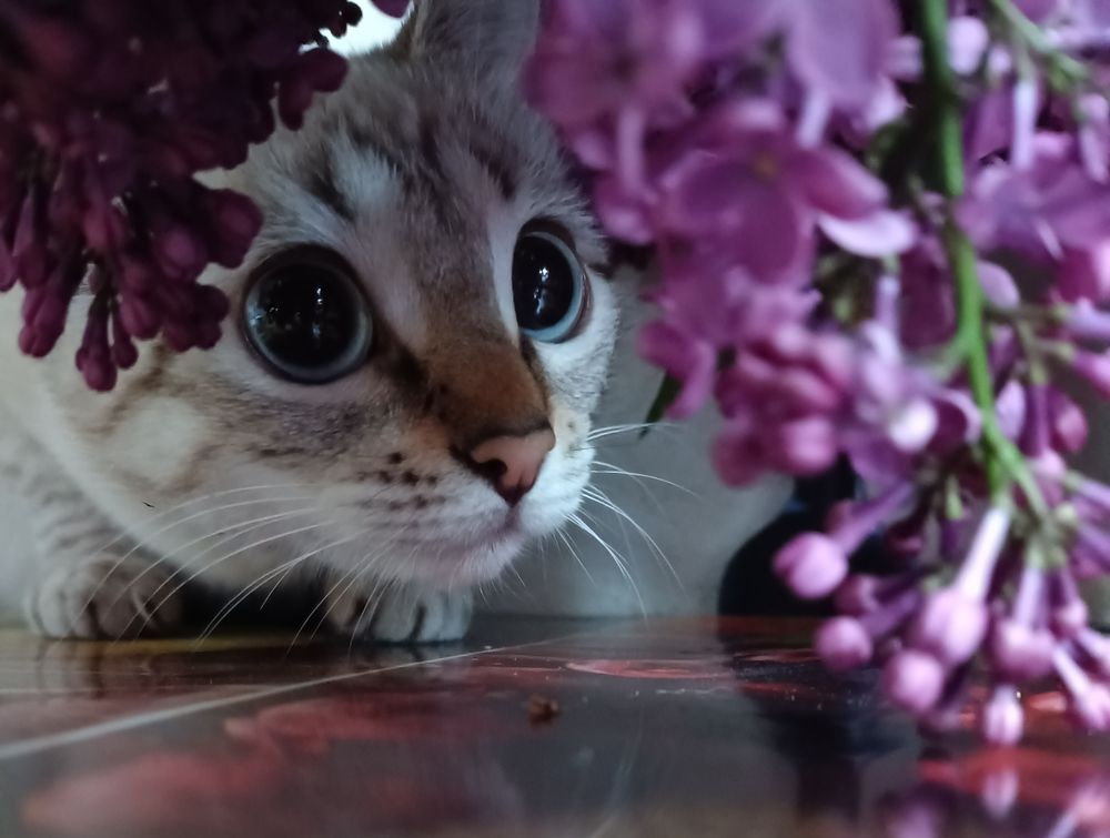 Photograph by Анастасия Никитюк